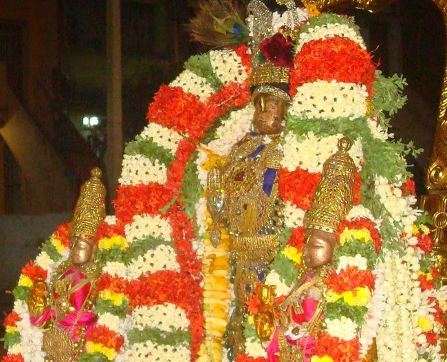 Kanchipuram Sri Devaperumal Kovil  Sri Viswaksenar Avatara Utsavam 01