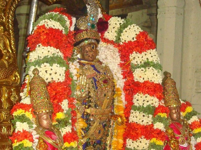 Kanchipuram Sri Devaperumal Kovil  Sri Viswaksenar Avatara Utsavam 06