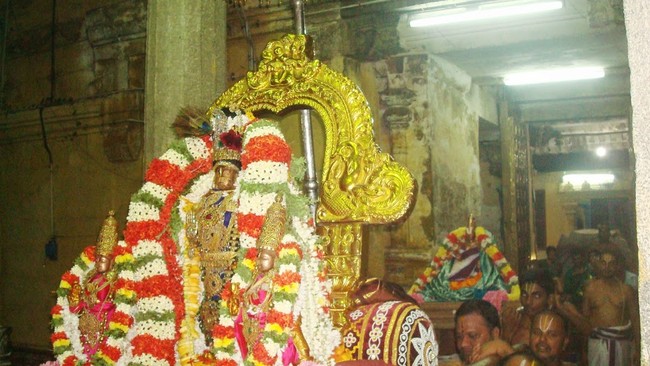 Kanchipuram Sri Devaperumal Kovil  Sri Viswaksenar Avatara Utsavam 08