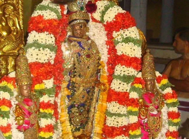 Kanchipuram Sri Devaperumal Kovil  Sri Viswaksenar Avatara Utsavam 09
