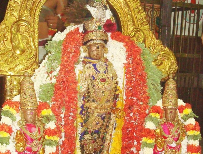 Kanchipuram Sri Devaperumal Kovil  Sri Viswaksenar Avatara Utsavam 21