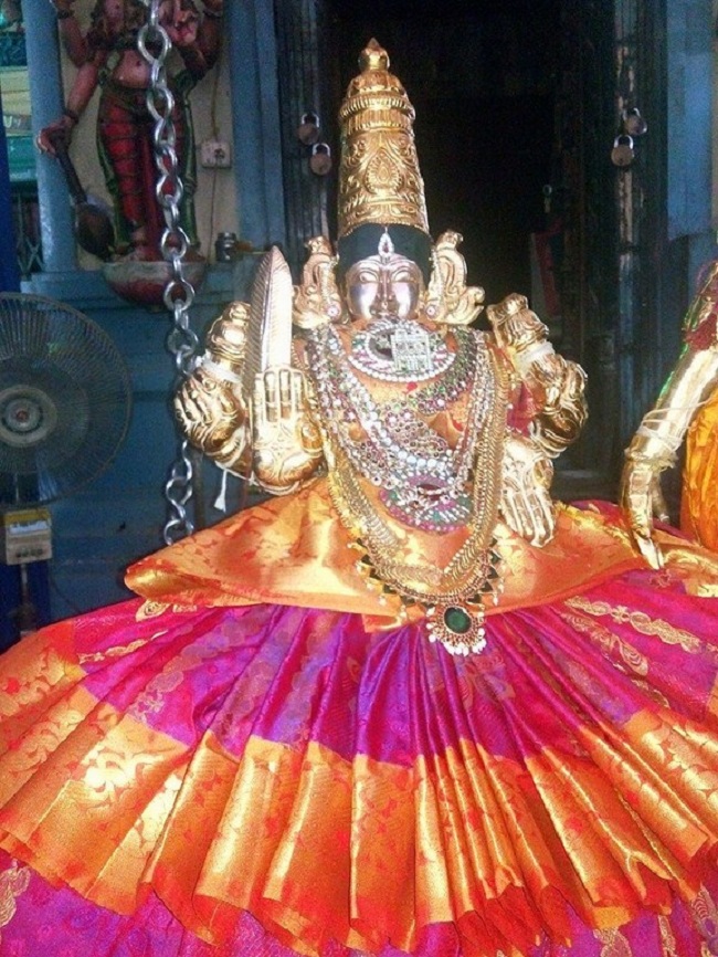 Keelkattalai Sri Srinivasa Perumal Temple  Navarathiri Utsavam12