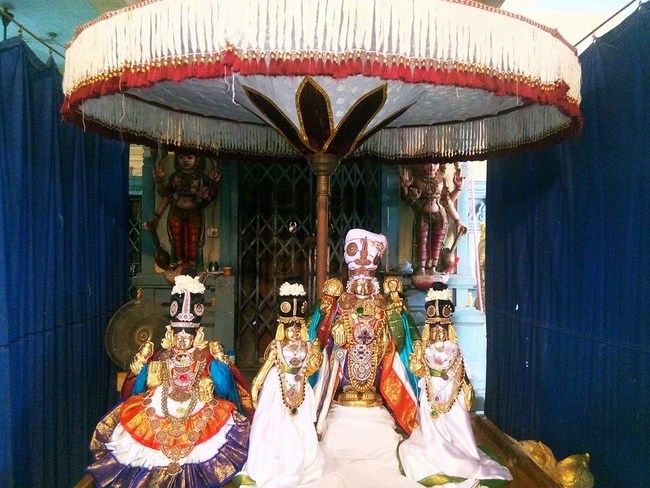 Keelkattalai Sri Srinivasa Perumal Temple  Navarathiri Utsavam12