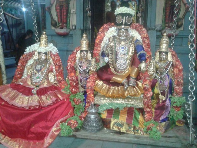 Keelkattalai Sri Srinivasa Perumal Temple  Navarathiri Utsavam17