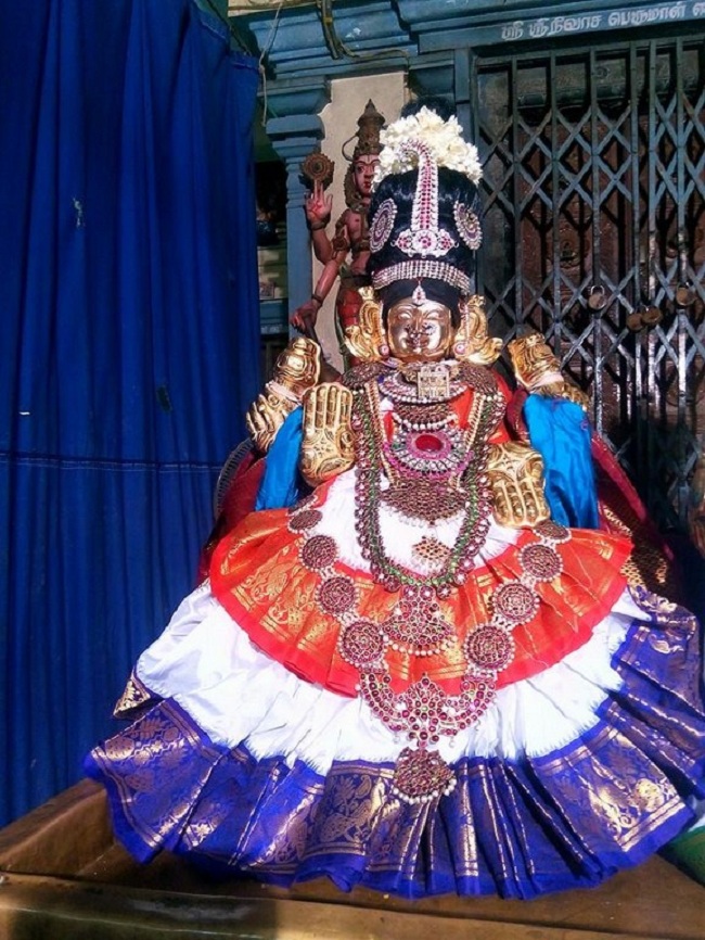 Keelkattalai Sri Srinivasa Perumal Temple  Navarathiri Utsavam4