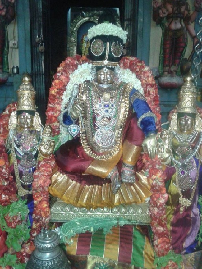 Keelkattalai Sri Srinivasa Perumal Temple  Navarathiri Utsavam7