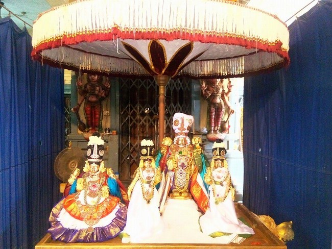 Keelkattalai Sri Srinivasa Perumal Temple  Navarathiri Utsavam8