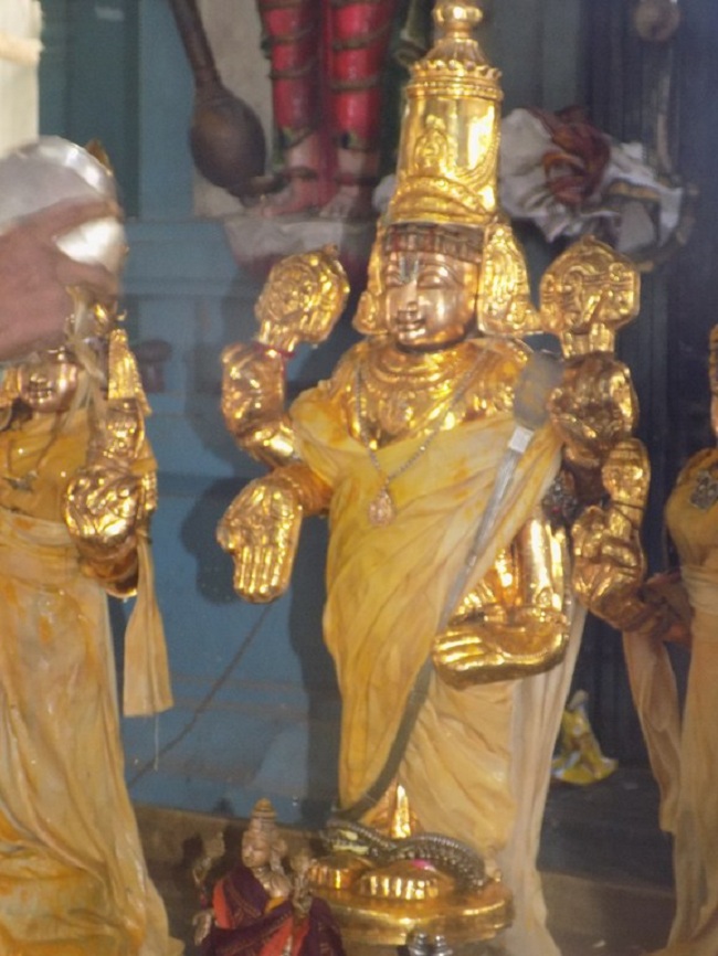 Keelkattalai Sri Srinivasa Perumal Temple Swami Desikan Thirunakshatra Mahotsavam15
