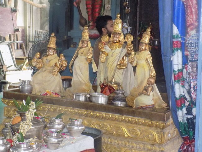 Keelkattalai Sri Srinivasa Perumal Temple Swami Desikan Thirunakshatra Mahotsavam1