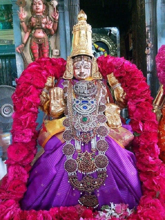 Keelkattalai Sri Srinivasa Perumal Temple Swami Desikan Thirunakshatra Mahotsavam23