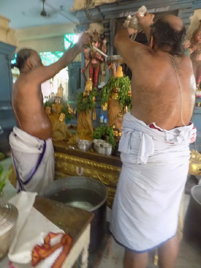 Keelkattalai Sri Srinivasa Perumal Temple Swami Desikan Thirunakshatra Mahotsavam5