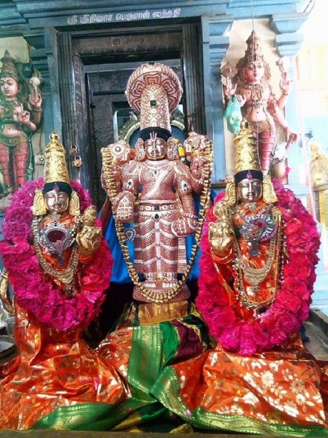 Keelkattalai Sri Srinivasa Perumal Temple Swami Desikan Thirunakshatra Mahotsavam8