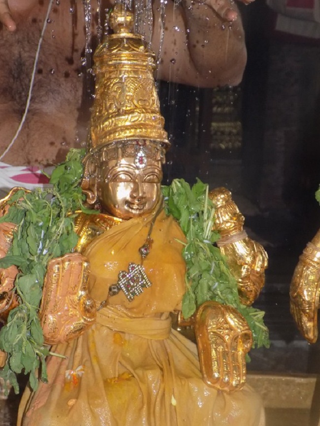 Keelkattalai Sri Srinivasa Perumal Temple Swami Desikan Thirunakshatra Mahotsavam8