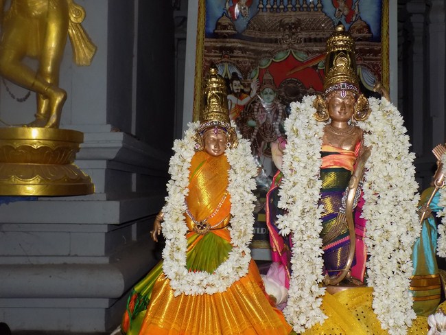 Madipakkam Sri Oppilliappan Pattabhisheka Ramar Temple Purattasi Masa Punarvasu Purappadu10