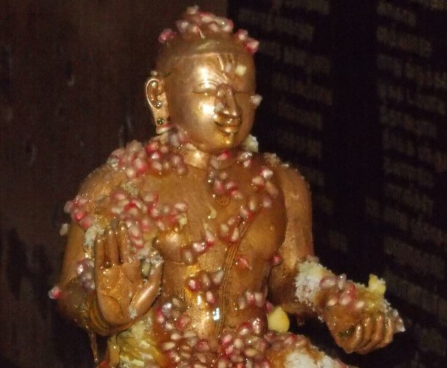 Madurai Swami Desikan Sannadhi Thirunakshatra utsavam day 3 2014 17