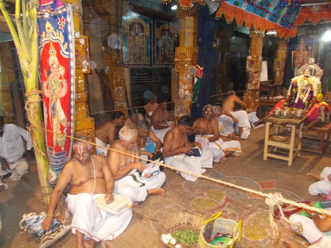 Madurai Swami Desikan Sannadhi Thirunakshatra utsavam day 3 purappadu  2014 05