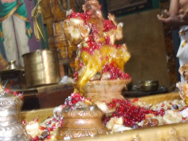 Madurai  Swami Desikan Thirunakshatra Utsavam Mangalasasanam   2014 14