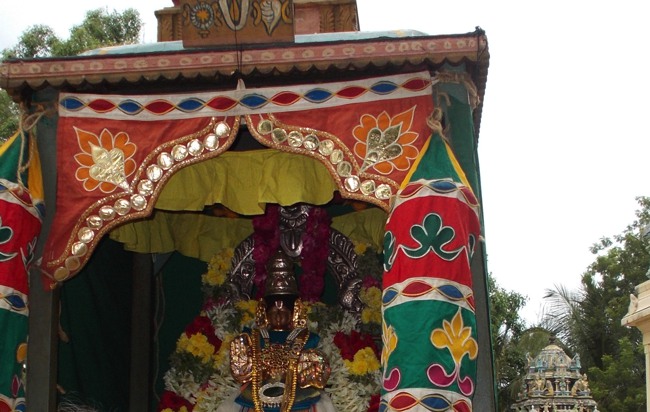 Madurai Swami Desikan Thirunakshatra Utsavam day 9 2014--03