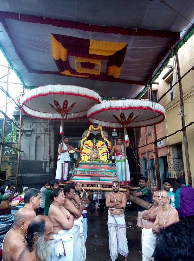 Mylai Peyazhwar Avathara Utsavam day 1  2014  3