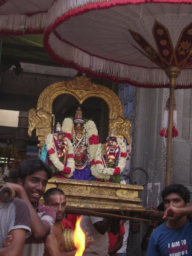 Mylai Sri Adhikesava Perumal Temple Pavithrotsavam  day 2  2014 2