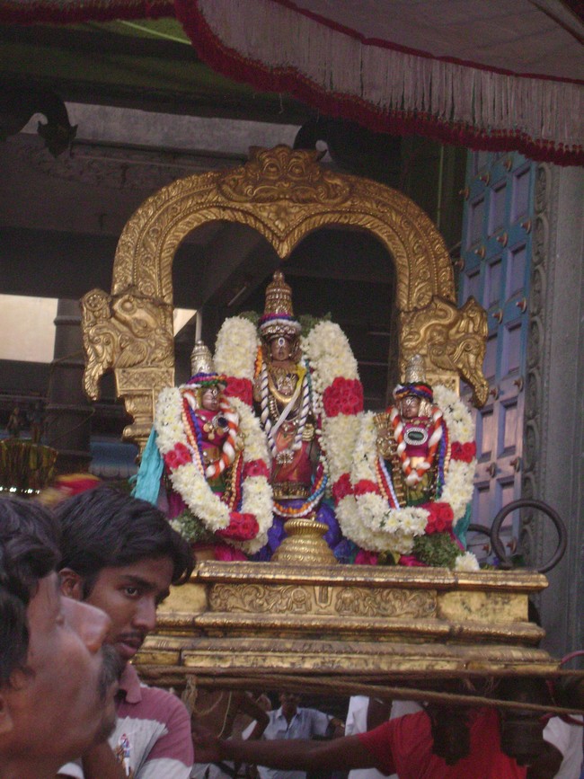 Mylai Sri Adhikesava Perumal Temple Pavithrotsavam  day 2  2014 5