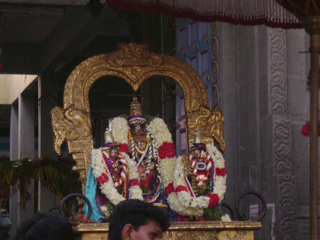 Mylai Sri Adhikesava Perumal Temple Pavithrotsavam  day 2  2014 6