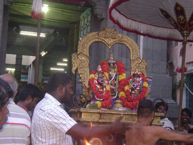 Mylai Sri Adhikesava Perumal Temple pavithrotsavam  day 32014 04