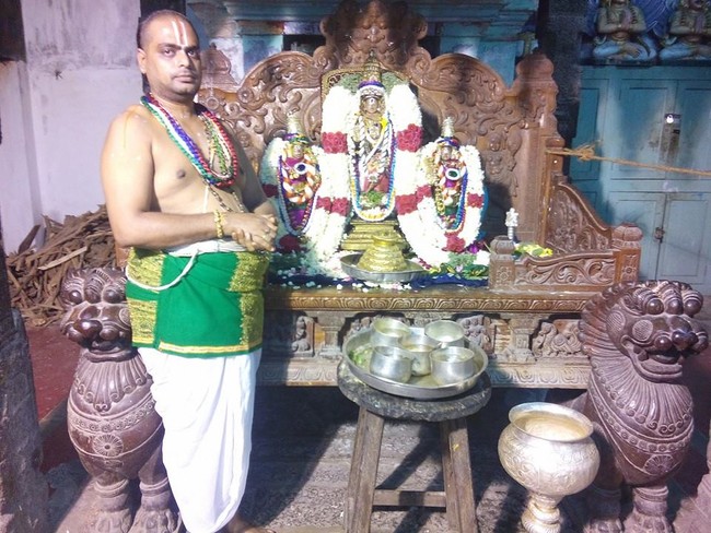 Mylai Sri Adhikesava Perumal Temple pavithrotsavam  day 32014 17