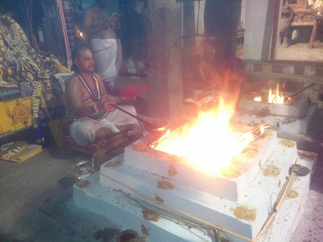 Mylai Sri Adhikesava Perumal Temple pavithrotsavam  day 32014 18