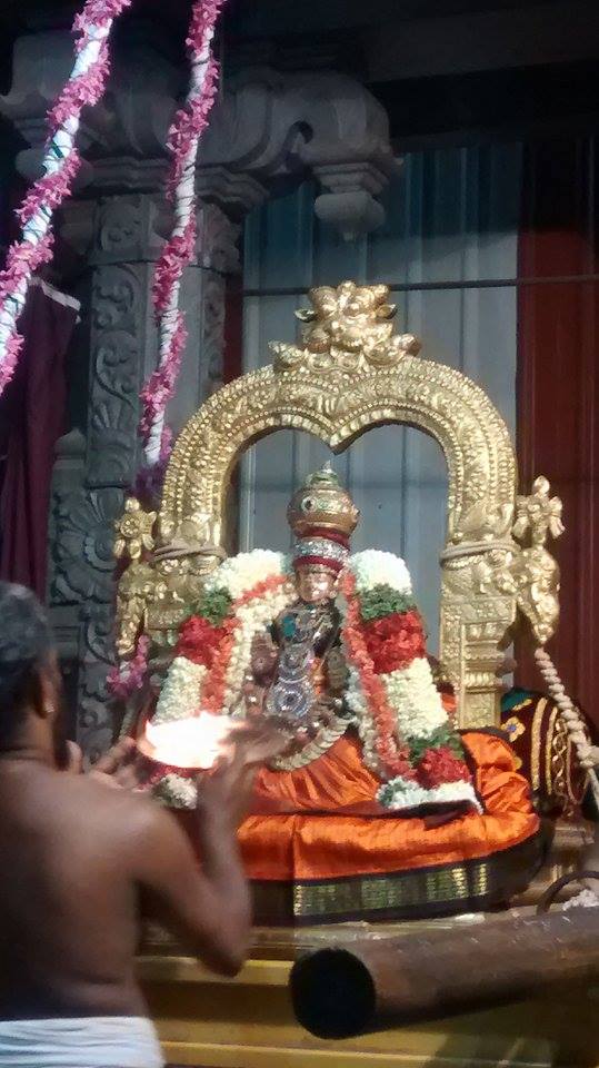 Mylapore SVDD Sri Srinivasa Perumal Temple Navarathri Uthsavam Day 6  30-09-2014  15