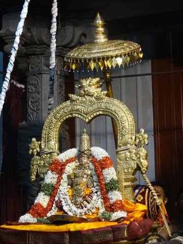Mylapore SVDD Sri Srinivasa Perumal Temple Navarathri Uthsavam Day 8  02-10-2014  06