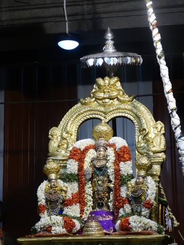 Mylapore SVDD Sri Srinivasa Perumal Temple Navarathri Uthsavam Day 8  02-10-2014  09