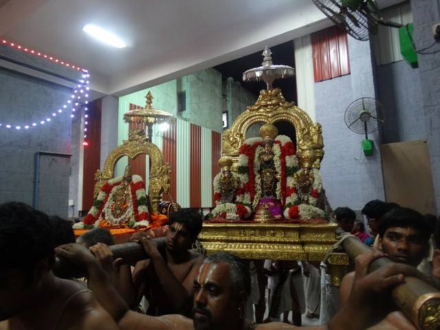 Mylapore SVDD Sri Srinivasa Perumal Temple Navarathri Uthsavam Day 8  02-10-2014  11