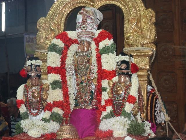 Mylapore SVDD Sri Srinivasa Perumal Temple Navarathri Uthsavam Day 9  03-10-2014  17