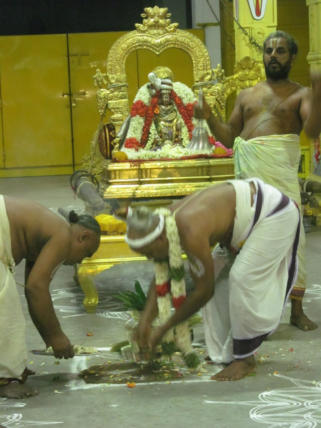Mylapore SVDD Sri Srinivasa Perumal Temple Pavithrothsavam Angurarapanam  07-10-2014  09