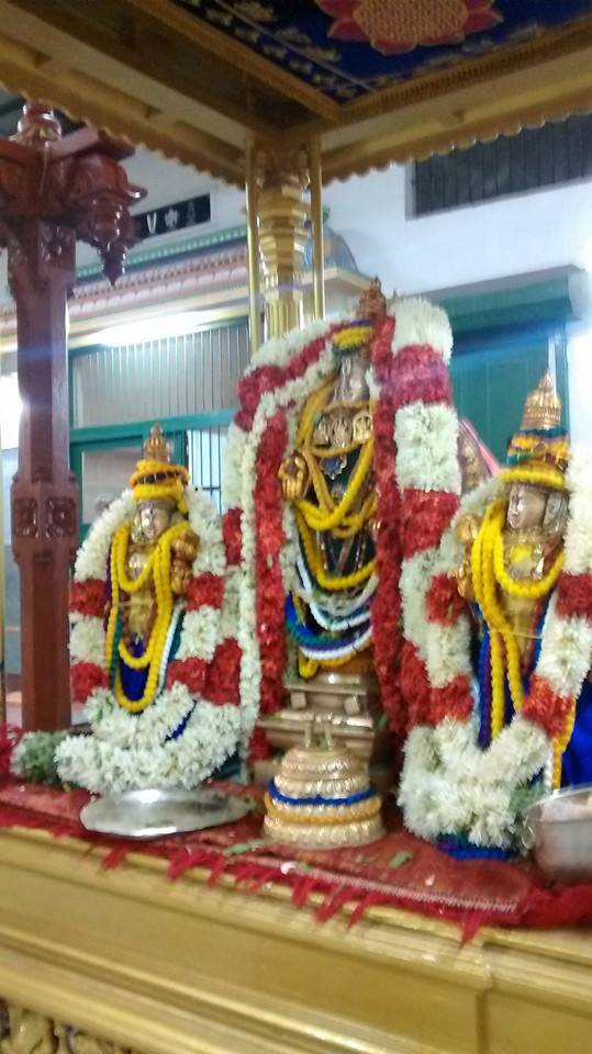 Mylapore SVDD Sri Srinivasa Perumal Temple Pavithrothsavam Day 1  08-10-2014  01