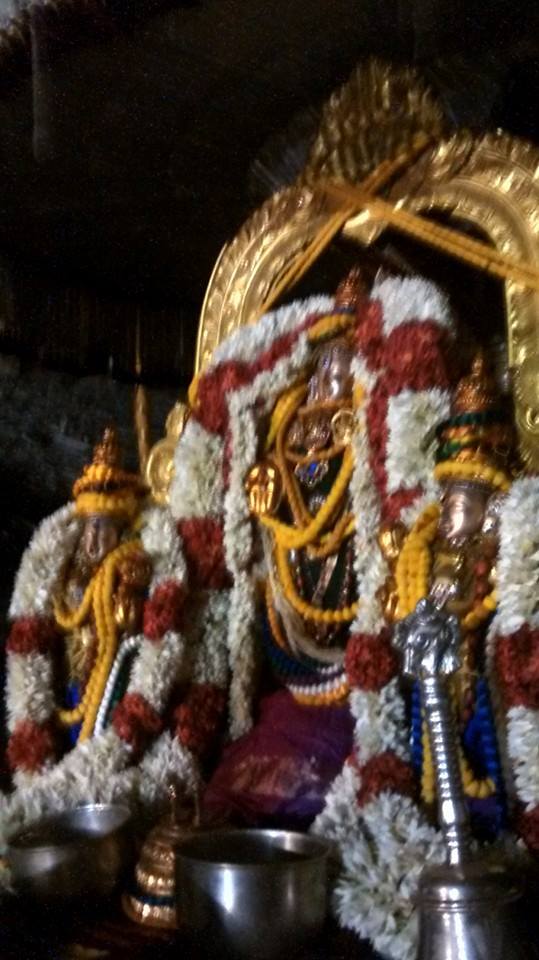Mylapore SVDD Sri Srinivasa Perumal Temple Pavithrothsavam Day 1  08-10-2014  12