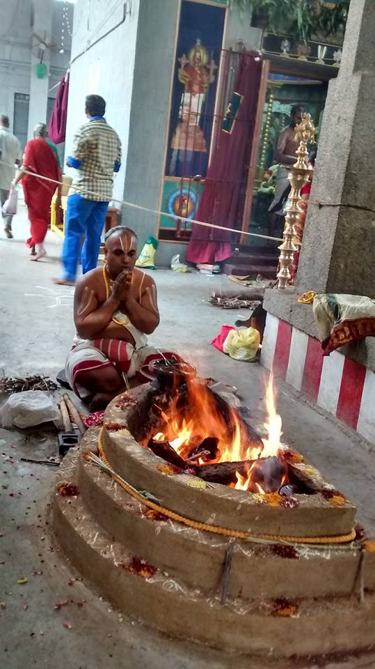 Mylapore SVDD Sri Srinivasa Perumal Temple Pavithrothsavam Day 2  09-10-2014  06