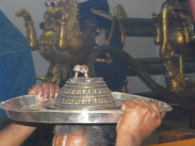 Mylapore SVDD Sri Srinivasa Perumal Temple Swami Desikan Uthsavam Day 10 Evening  04-10-2014  27