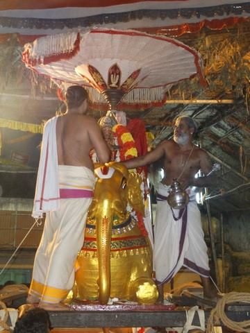 Mylapore SVDD Sri Srinivasa Perumal Temple Swami Desikan Uthsavam Day 8 evening  02-10-2014  03