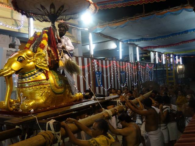 Mylapore SVDD Sri Srinivasa Perumal Temple Swami Desikan Uthsavam Day 8 evening  02-10-2014  04
