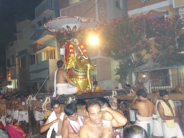 Mylapore SVDD Sri Srinivasa Perumal Temple Swami Desikan Uthsavam Day 8 evening  02-10-2014  06