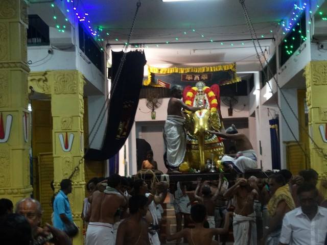 Mylapore SVDD Sri Srinivasa Perumal Temple Swami Desikan Uthsavam Day 8 evening  02-10-2014  09
