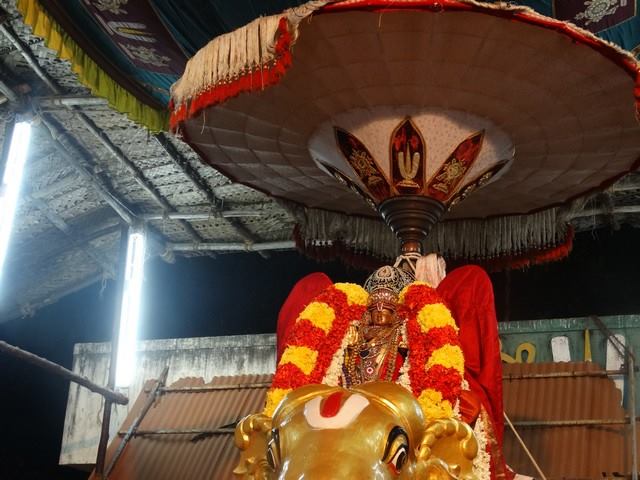 Mylapore SVDD Sri Srinivasa Perumal Temple Swami Desikan Uthsavam Day 8 evening  02-10-2014  11