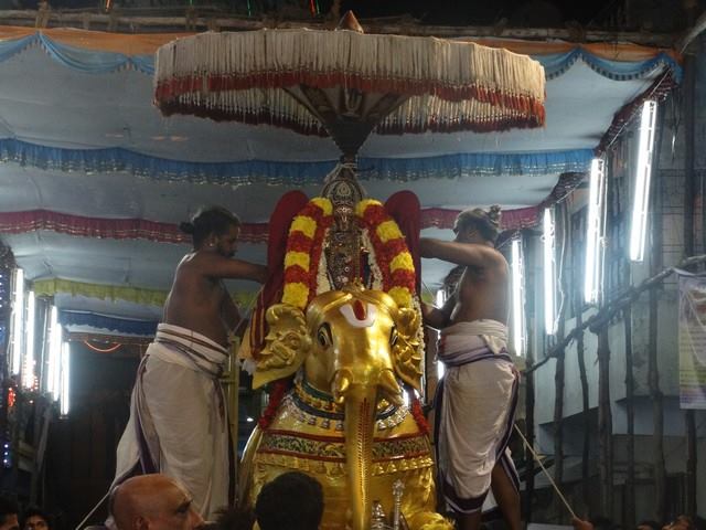 Mylapore SVDD Sri Srinivasa Perumal Temple Swami Desikan Uthsavam Day 8 evening  02-10-2014  22