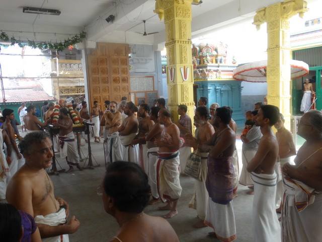 Mylapore SVDD Sri Srinivasa Perumal Temple Swami Desikan Uthsavam Day 9 Morning  03-10-2014  14