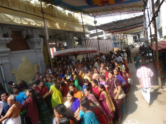 Mylapore SVDD Sri Srinivasa Perumal Temple Swami Desikan Uthsavam Day 9 Morning  03-10-2014  16