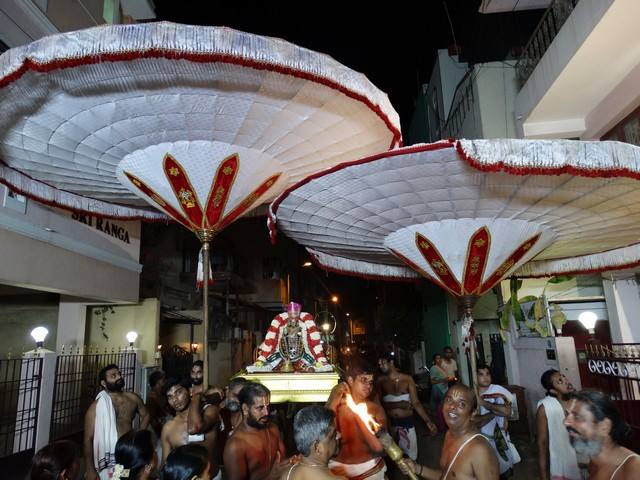 Mylapore SVDD Sri Srinivasa Perumal Temple Swami Desikan Uthsavam Day 9 evening  03-10-2014  13