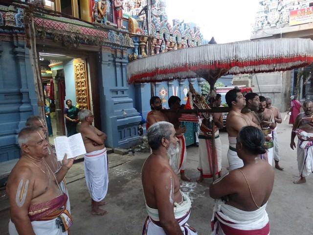 Mylapore SVDD Sri Srinivasa Perumal Temple Swami Desikan thirunakshatram Day 10 Morning 04-10-2014  43