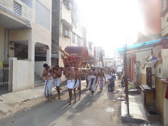 Mylapore SVDD Sri Srinivasa Perumal Temple Swami Desikani Uthsavam Day 7 Morning 01-10-2014  03
